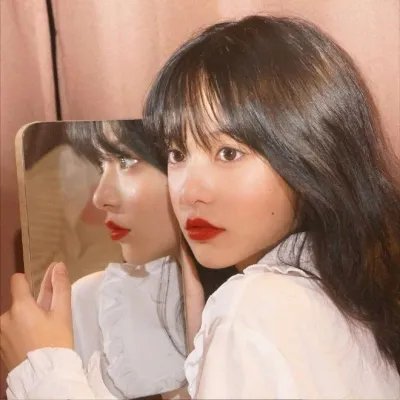 睡莲